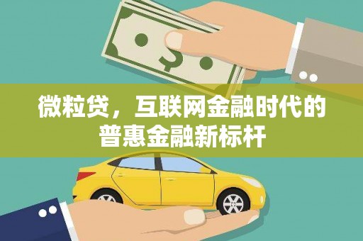 凤林微粒贷，互联网金融时代的普惠金融新标杆