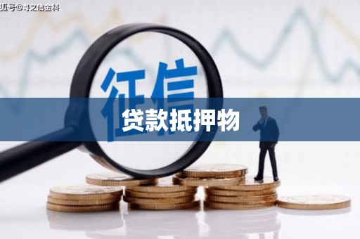 凤林贷款抵押物