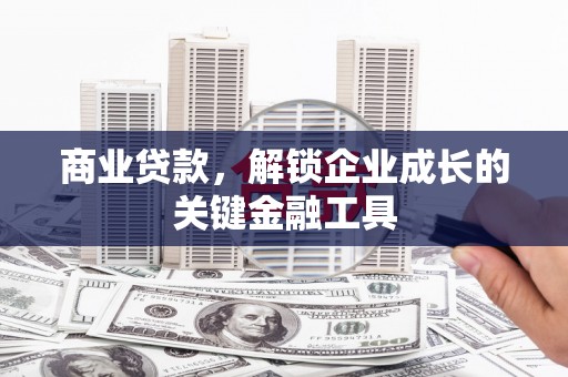 凤林商业贷款，解锁企业成长的关键金融工具