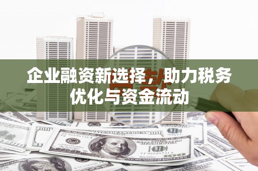 凤林企业融资新选择，助力税务优化与资金流动