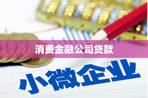凤林消费金融公司贷款