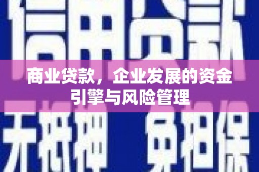 凤林商业贷款，企业发展的资金引擎与风险管理
