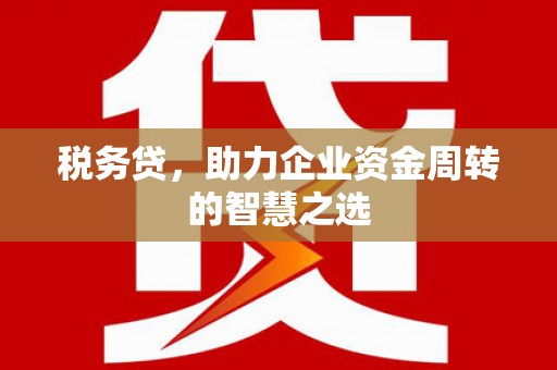 凤林税务贷，助力企业资金周转的智慧之选
