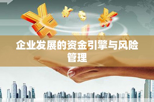 凤林企业发展的资金引擎与风险管理