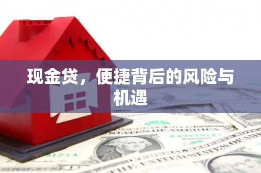 凤林现金贷，便捷背后的风险与机遇