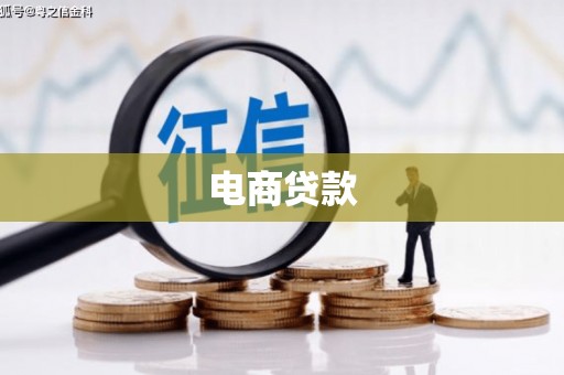 凤林电商贷款