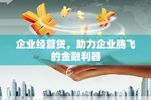 凤林企业经营贷，助力企业腾飞的金融利器