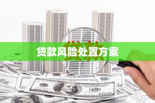 凤林贷款风险处置方案