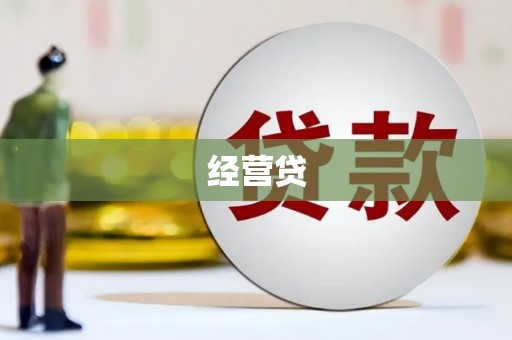 凤林经营贷