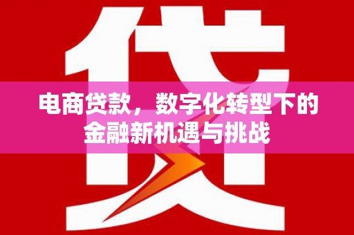 凤林电商贷款，数字化转型下的金融新机遇与挑战