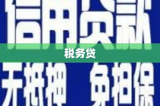 凤林税务贷