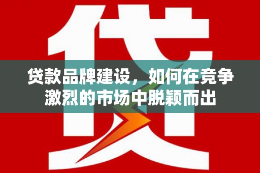 凤林贷款品牌建设，如何在竞争激烈的市场中脱颖而出