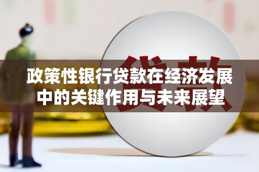 凤林政策性银行贷款在经济发展中的关键作用与未来展望