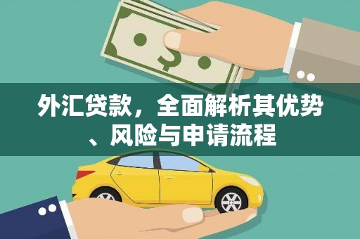 凤林外汇贷款，全面解析其优势、风险与申请流程