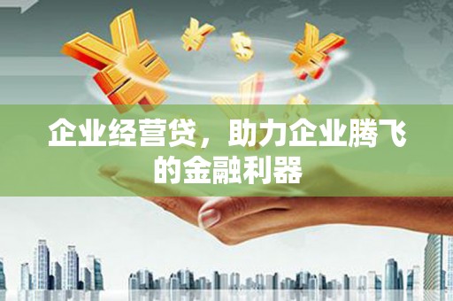 凤林企业经营贷，助力企业腾飞的金融利器