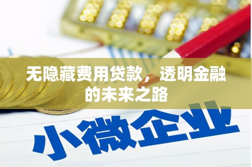凤林无隐藏费用贷款，透明金融的未来之路