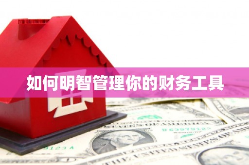 凤林如何明智管理你的财务工具