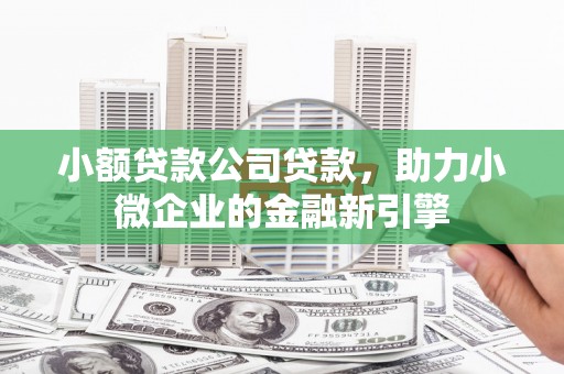 凤林小额贷款公司贷款，助力小微企业的金融新引擎