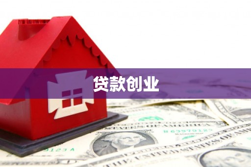 凤林贷款创业