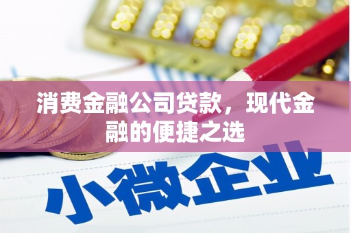 凤林消费金融公司贷款，现代金融的便捷之选