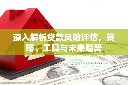 凤林深入解析贷款风险评估，策略、工具与未来趋势