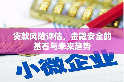 凤林贷款风险评估，金融安全的基石与未来趋势