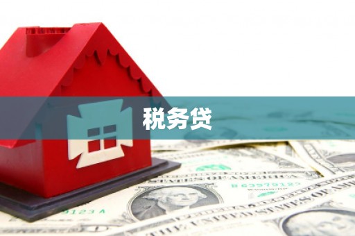 凤林税务贷