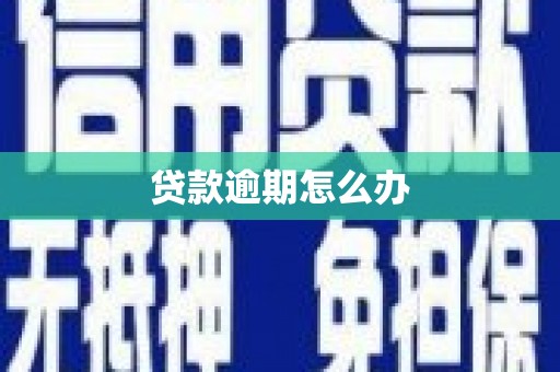 凤林贷款逾期怎么办