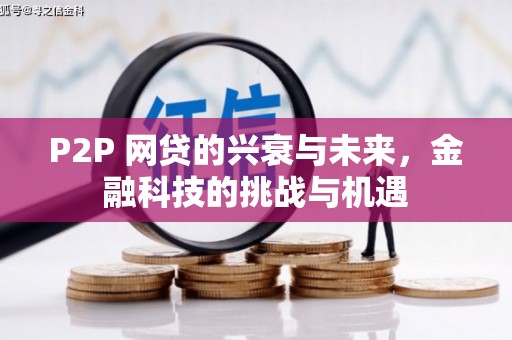 凤林P2P 网贷的兴衰与未来，金融科技的挑战与机遇