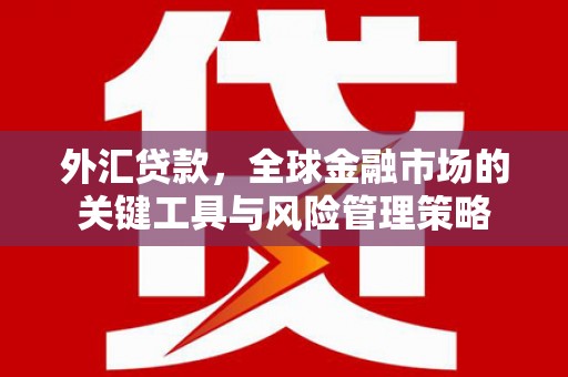 凤林外汇贷款，全球金融市场的关键工具与风险管理策略