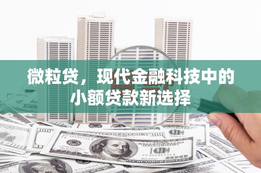 凤林微粒贷，现代金融科技中的小额贷款新选择