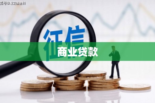 凤林商业贷款