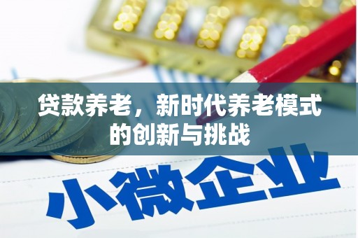 凤林贷款养老，新时代养老模式的创新与挑战