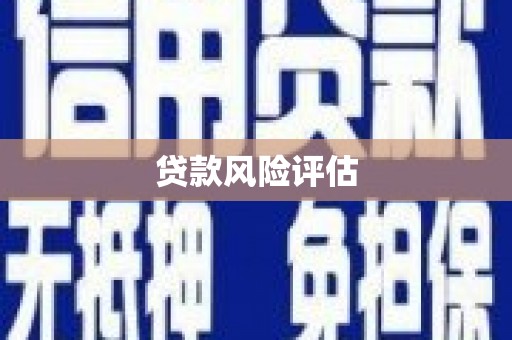 凤林贷款风险评估