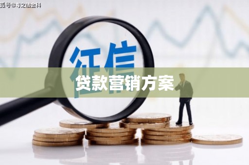 凤林贷款营销方案