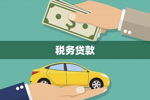 凤林税务贷款