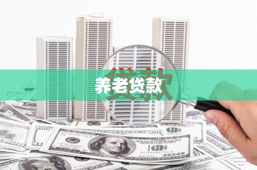 凤林养老贷款