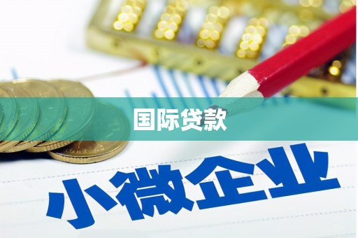 凤林国际贷款