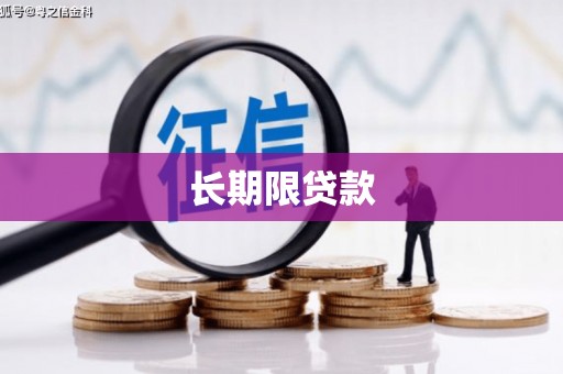 凤林长期限贷款