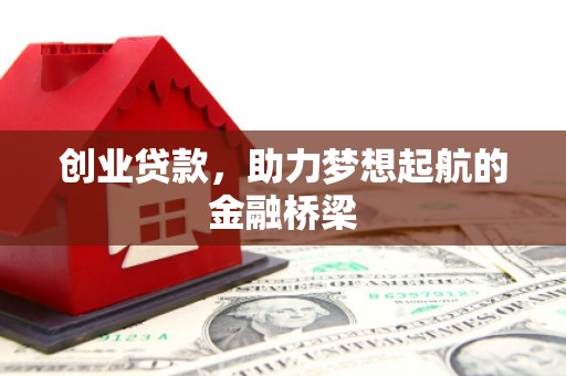 凤林创业贷款，助力梦想起航的金融桥梁