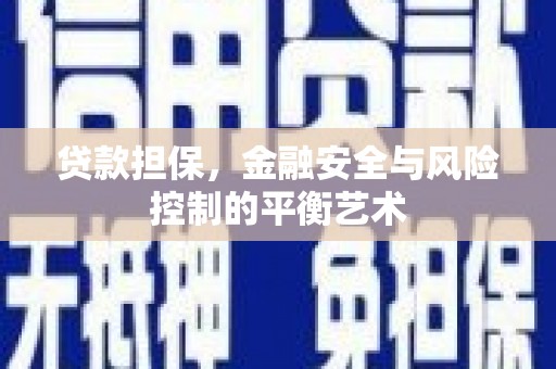 凤林贷款担保，金融安全与风险控制的平衡艺术