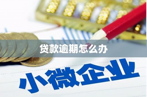 凤林贷款逾期怎么办