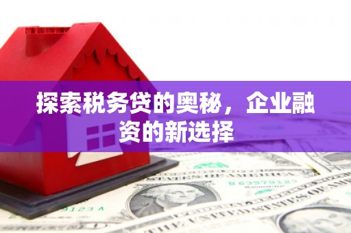 凤林探索税务贷的奥秘，企业融资的新选择