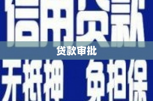 凤林贷款审批