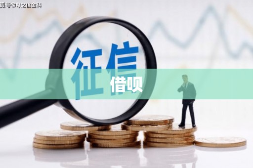 凤林借呗