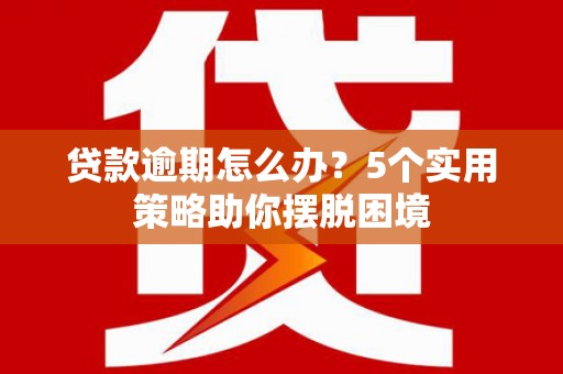 凤林贷款逾期怎么办？5个实用策略助你摆脱困境