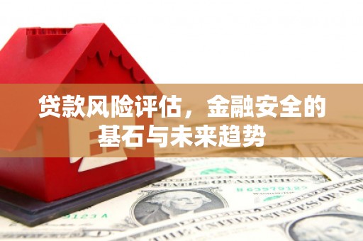 凤林贷款风险评估，金融安全的基石与未来趋势