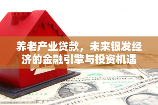 凤林养老产业贷款，未来银发经济的金融引擎与投资机遇