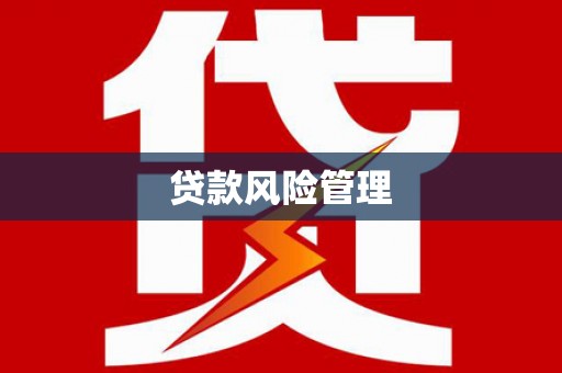 凤林贷款风险管理