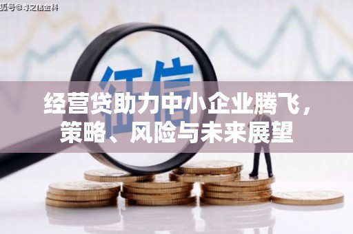 凤林经营贷助力中小企业腾飞，策略、风险与未来展望